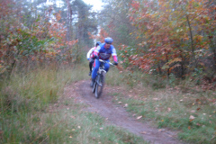Afbeelding-050
