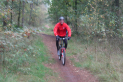 Afbeelding-090