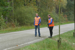 Afbeelding-163